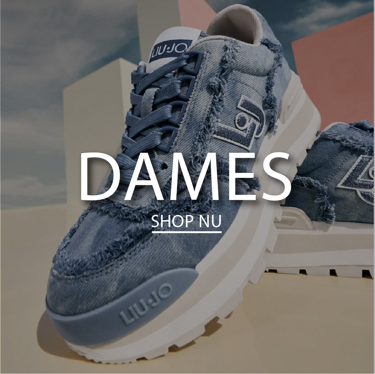 DAMES HOME
