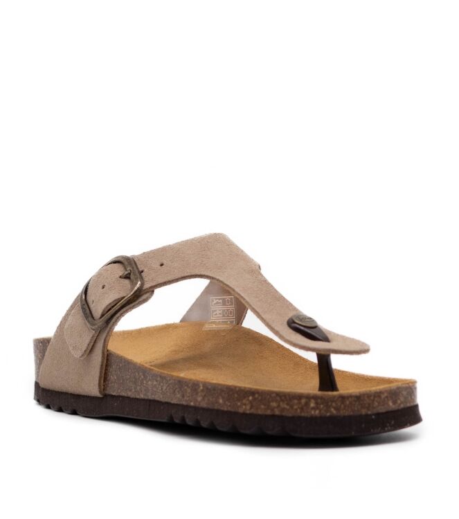 Scholl Dames Slippers in Groen online kopen 