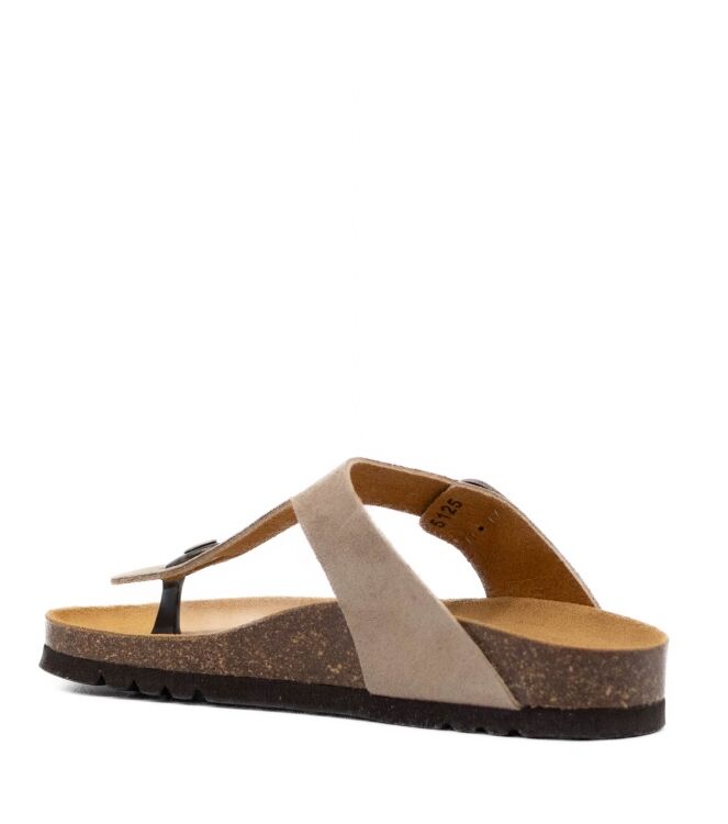 Scholl Dames Slippers in Groen online kopen 