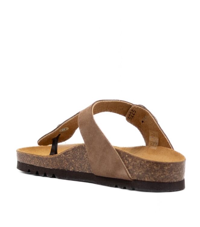 Scholl  Dames Slippers Rubberzolen Bruin 