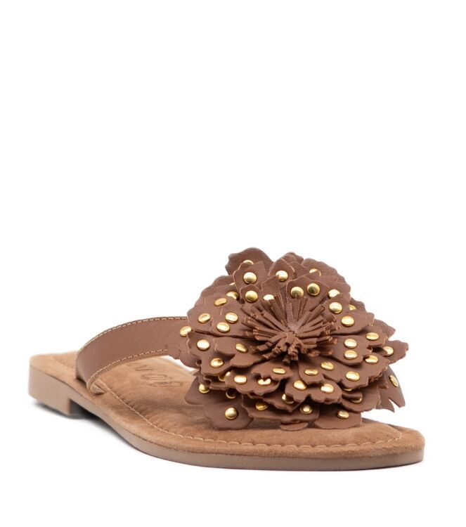 Lazamani Dames Slippers in Bruin online kopen 