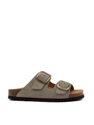 Scholl 