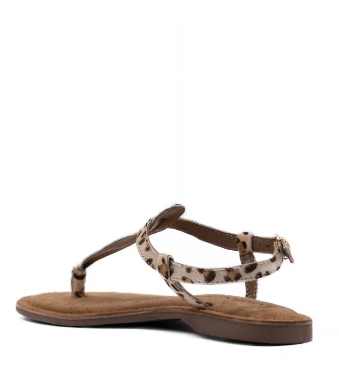Lazamani Dames Sandalen in Panterprint online kopen 