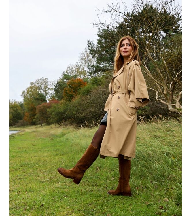 Rossano Bisconti Rossano Bisconti dames laarzen bruin suede Peach Birra Rossano Bisconti Enkellaarsjes met Hak in Bruin online kopen