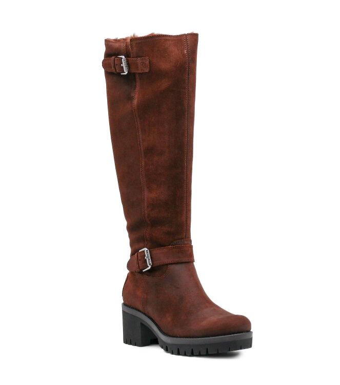 Panama Jack Panama Jack dames laarzen gevoerd bruin Velour Grass Marron Panama Jack Dames Laarzen Gevoerd in Bruin online kopen