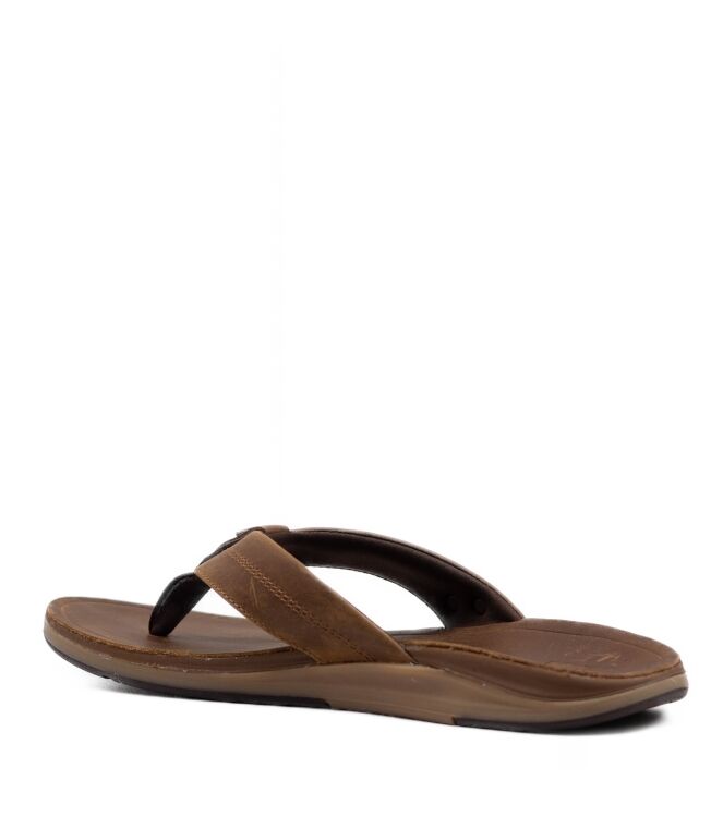 Reef Heren Slippers in Bruin online kopen 
