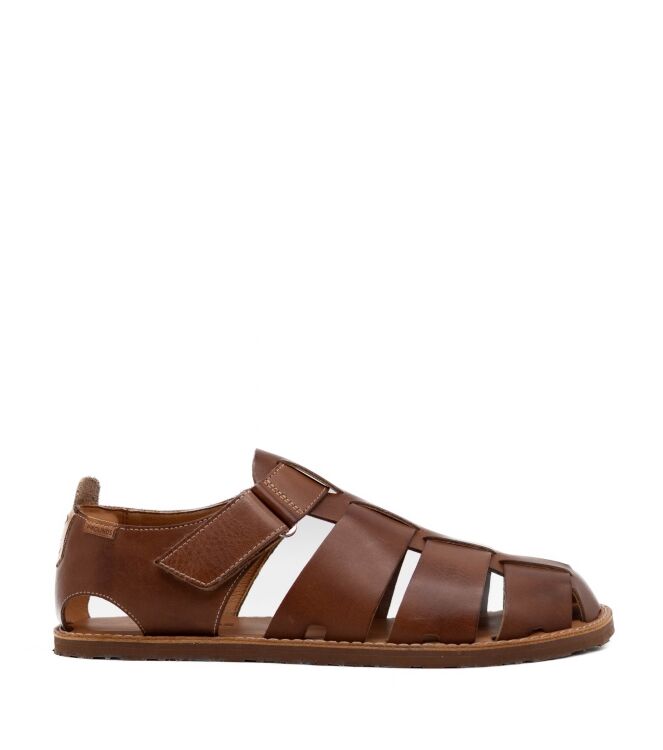 Pikolinos Heren Sandalen in Bruin online kopen 