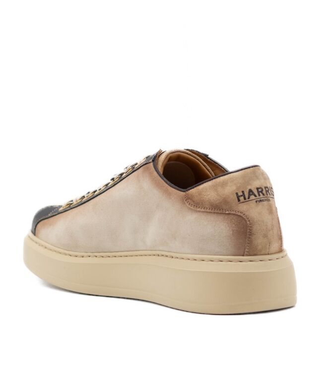 Harris Harris heren veterschoenen beige Softy Ecru/Velours Harris Heren Nette Schoenen in Beige online kopen
